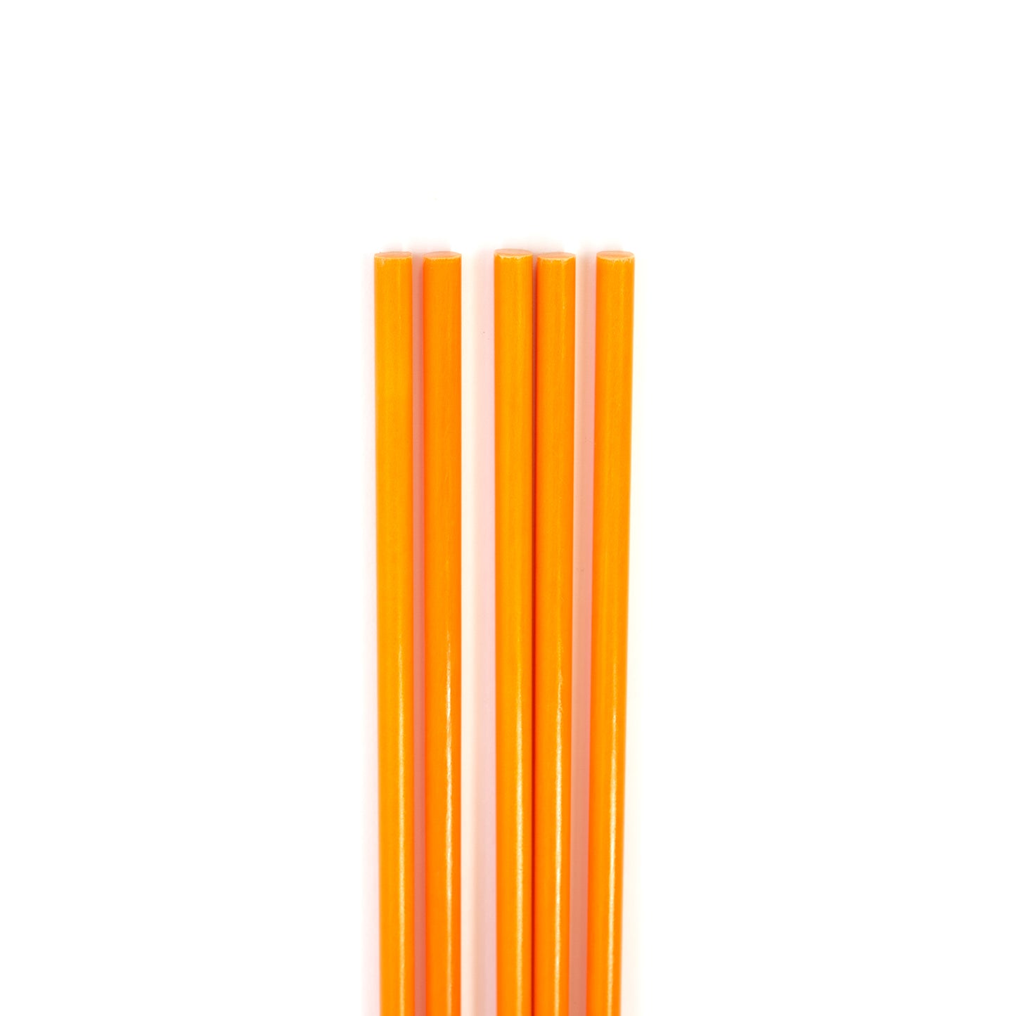 Replacement Stakes (5-pack)